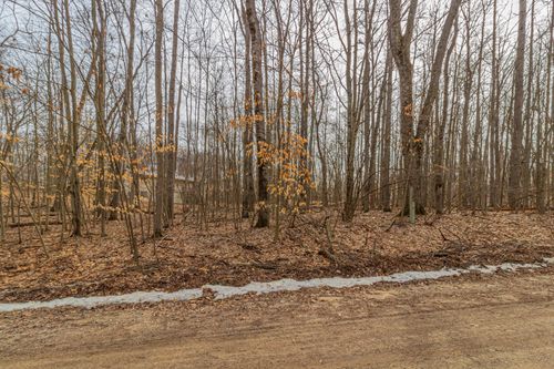 94-10082 Sante Fe Trl, Canadian Lakes, MI, 49346-9208 | Card Image