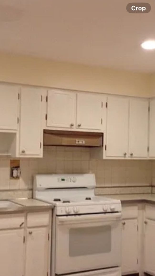 APT-2 - 960 Shermer Rd, Condo with 1 bedrooms, 1 bathrooms and 1 parking in Glenview IL | Image 14