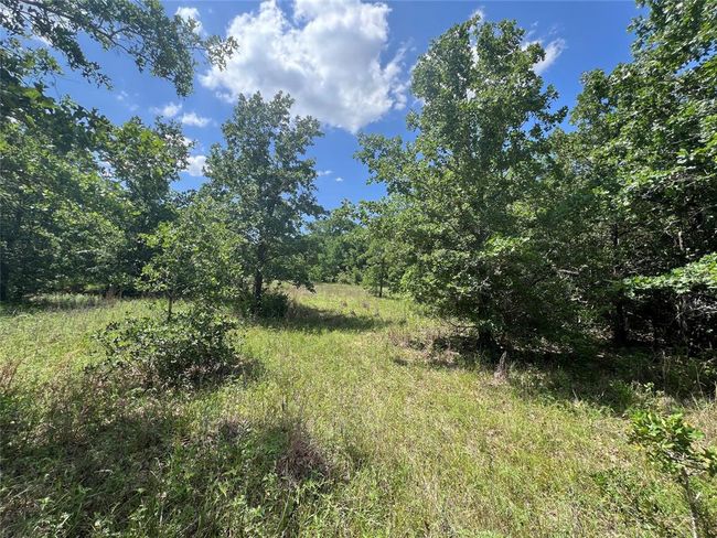 2 S Richards St, Home with 0 bedrooms, 0 bathrooms and null parking in Anderson TX | Image 9