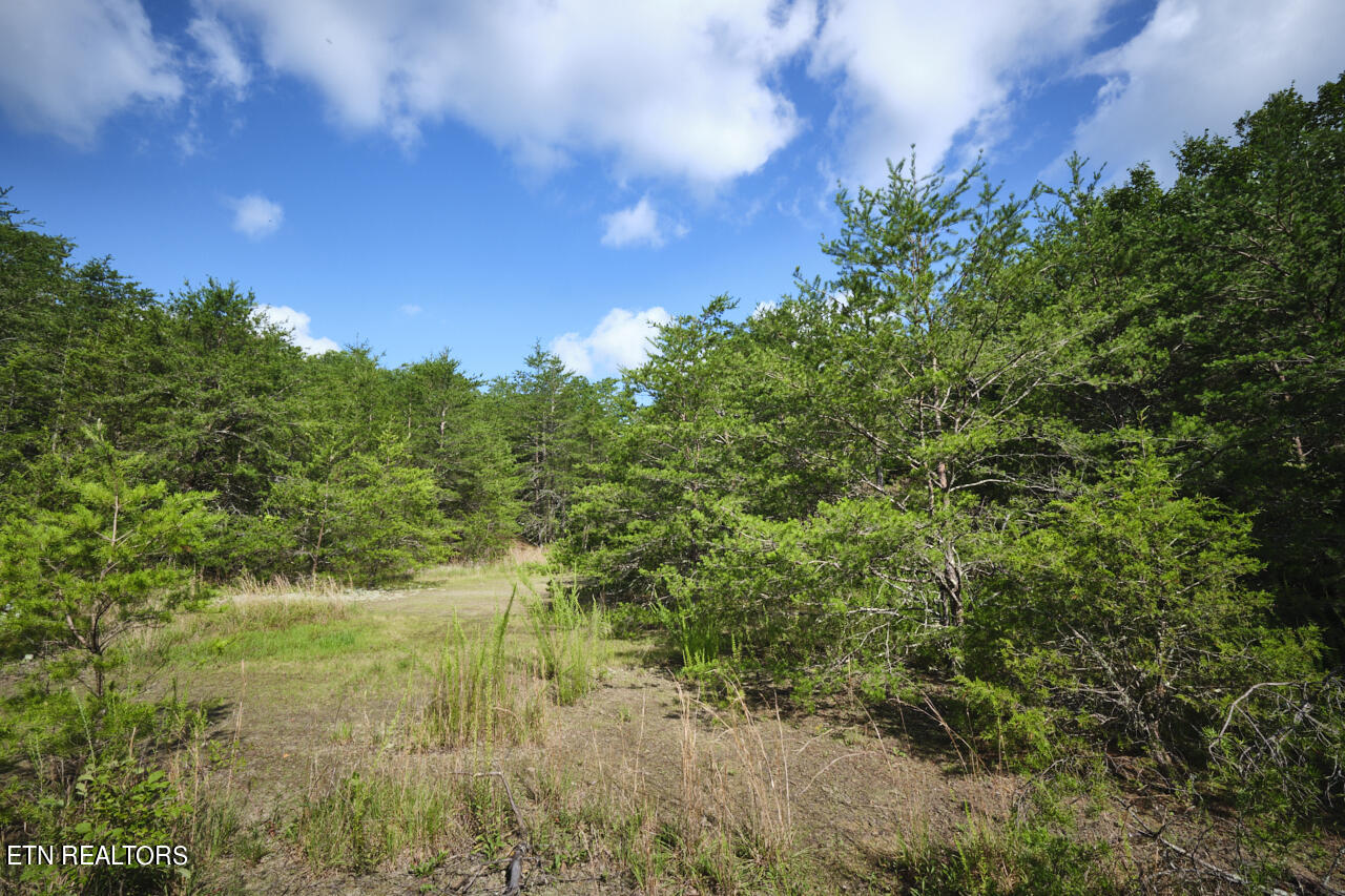 Land in Blaine