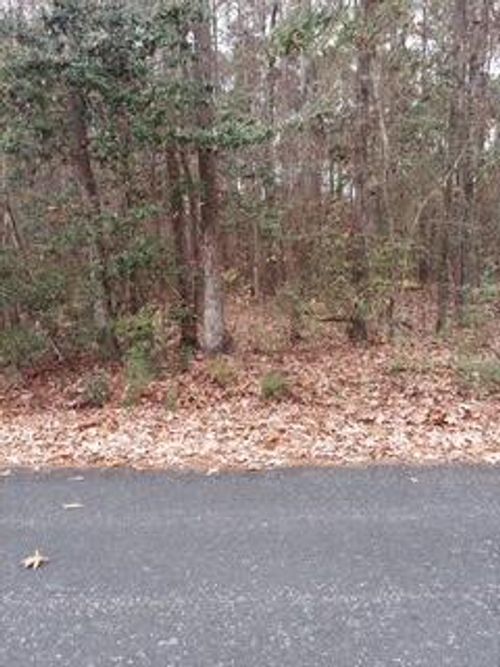 Lot 211 Prices Bridge Ln, Walterboro, SC, 29488-6982 | Card Image