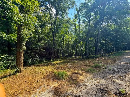 0 Savannah Dr, Smithville, TN, 37166 | Card Image