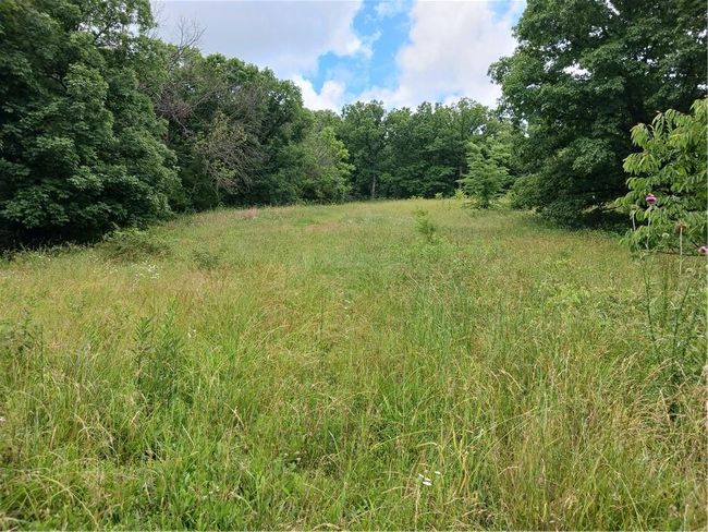 871 Sw 301 St Rd, House other with 2 bedrooms, 1 bathrooms and null parking in Chilhowee MO | Image 33