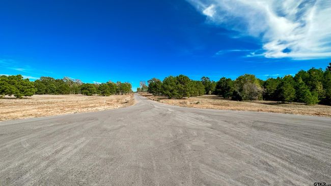15538 Aniston Ln, Home with 0 bedrooms, 0 bathrooms and null parking in Flint TX | Image 44