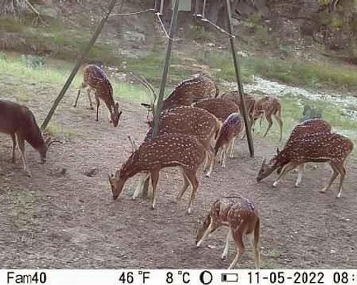 55 Acres Fritz Rd, London, TX, 76854 | Card Image