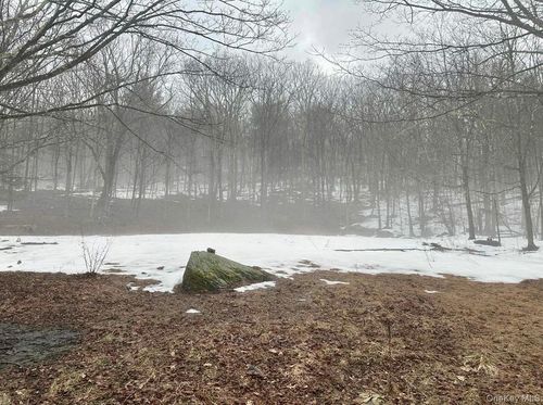 804 Hearts Content Road, Cairo, NY, 12413 | Card Image