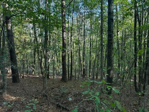 1028 Goddard Rd, Bear Creek, AL, 35543 | Card Image