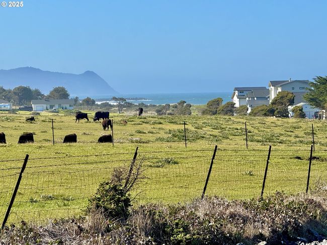 4 - 000 Old Coast Hwy, Home with 0 bedrooms, 0 bathrooms and null parking in Gold Beach OR | Image 5