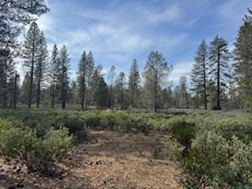 11 Whitmore Village Rd., Whitmore, CA, 96096 | Card Image