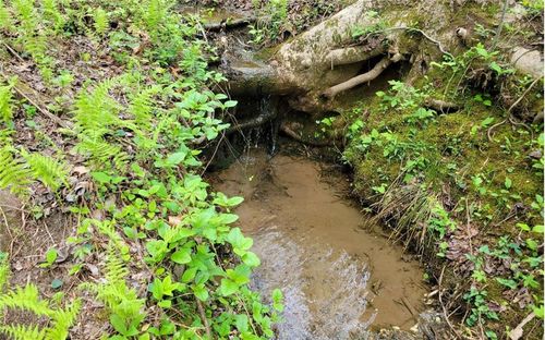 LOT27 Oak Ridge Ct, Ellijay, GA, 30536 | Card Image