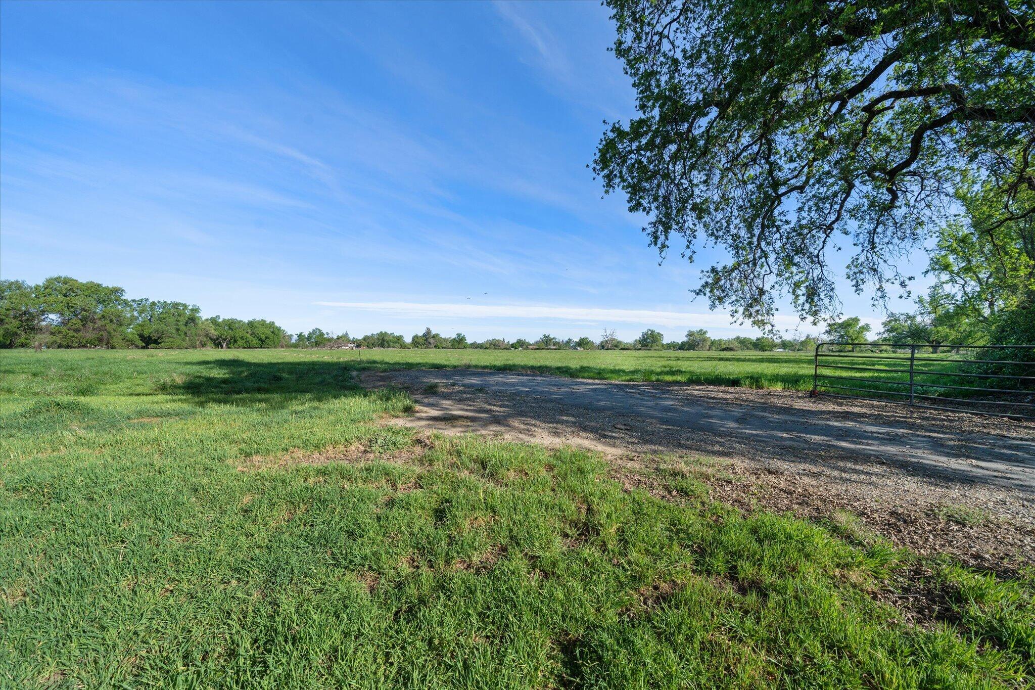 Land in Anderson 4