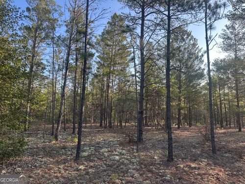 9-acres-PARCEL #2 Horne Road, Roberta, GA, 31078 | Card Image