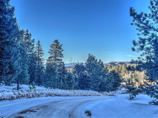 1174 Monarch Dr, Home with 0 bedrooms, 0 bathrooms and null parking in Cripple Creek CO | Image 22