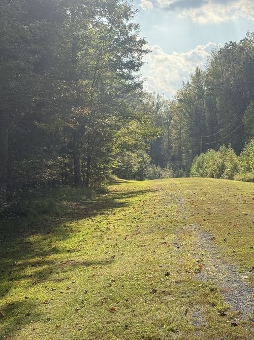 80 Torpedo Ct, Cedar Grove, TN, 38321 | Card Image