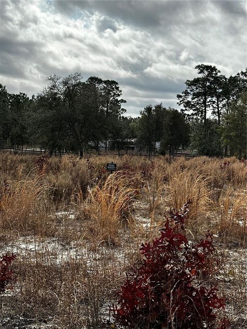 TBA Sw 93rd Pl, DUNNELLON, FL, 34432 | Card Image