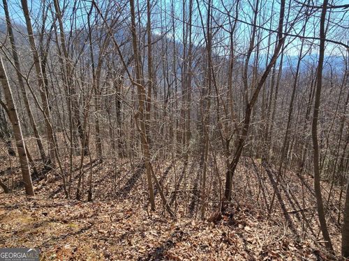 11-LOT 11 High Meadows Dr, Hayesville, NC, 28904 | Card Image