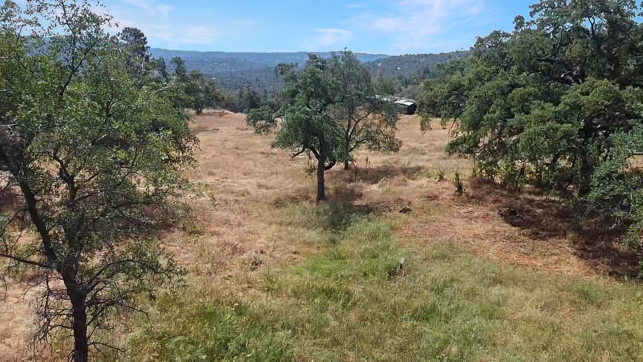 Land in Coarsegold 4