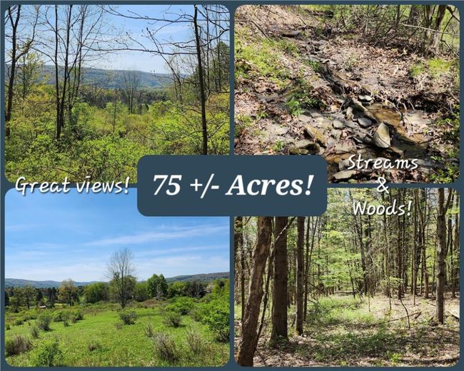 lot 30 Algerine Street, Home with 0 bedrooms, 0 bathrooms and null parking in Afton NY | Image 2