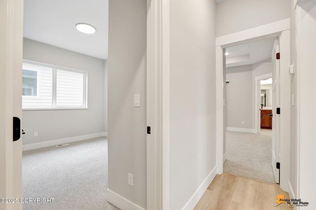 AVDP18 | Image 15