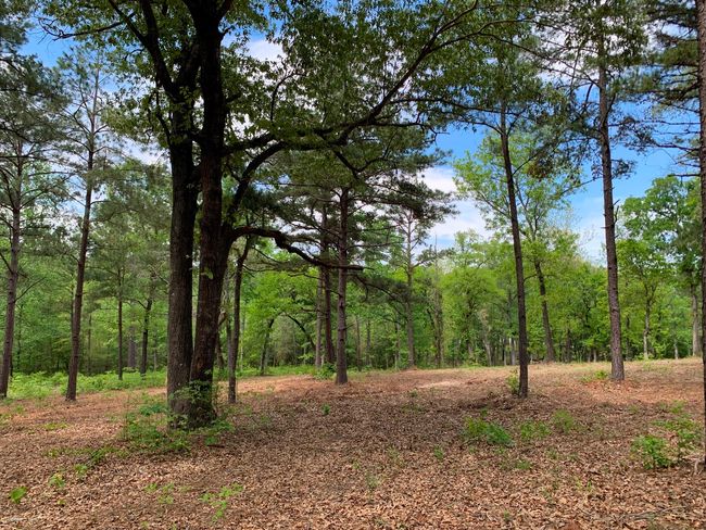 3200 Shadow Pine Dr, Home with 0 bedrooms, 0 bathrooms and null parking in LaRue TX | Image 8