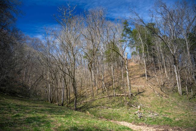 1438 Wartrace Rd, Home with 0 bedrooms, 0 bathrooms and null parking in Red Boiling Springs TN | Image 14