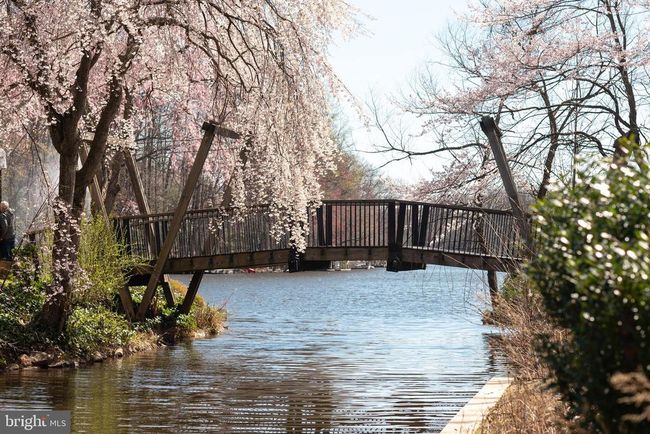 APT-304 - 1511 N Point Dr, Condo with 2 bedrooms, 2 bathrooms and null parking in RESTON VA | Image 40
