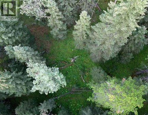 0 Mountain Lion Pl, Bragg Creek, AB, T0L0K0 | Card Image