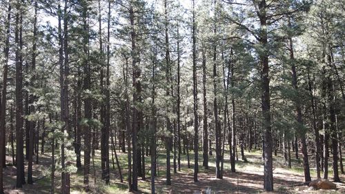 67 San Juan Dr, Angel Fire, NM, 87710 | Card Image