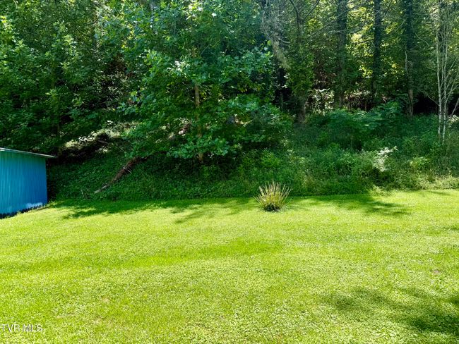 123 Mcmahan Gibbs Rd, House other with 2 bedrooms, 2 bathrooms and null parking in Roan Mountain TN | Image 71