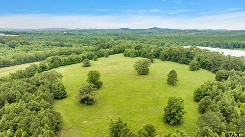 9822 Nasturtium Rd, Ore City, TX, 75683-6126 | Card Image