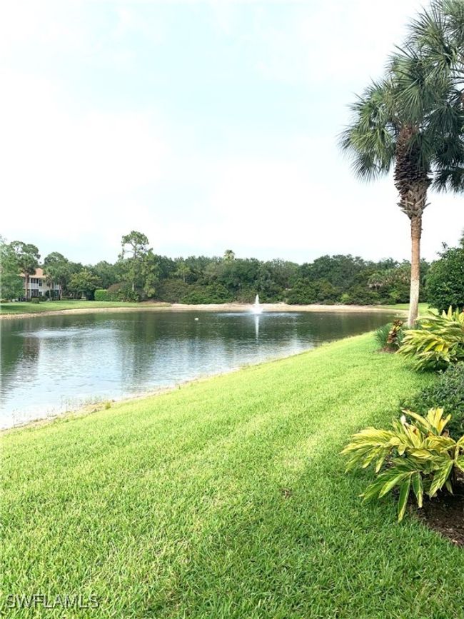 Water view | Image 7