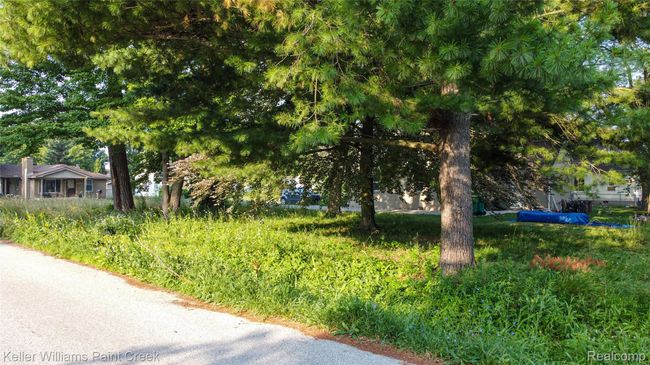 DJI_0947.jpg | Image 5