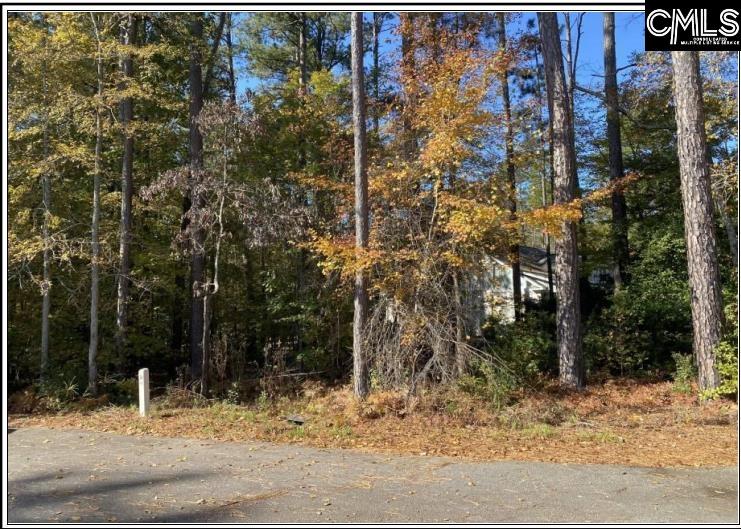 Land in Leesville 4