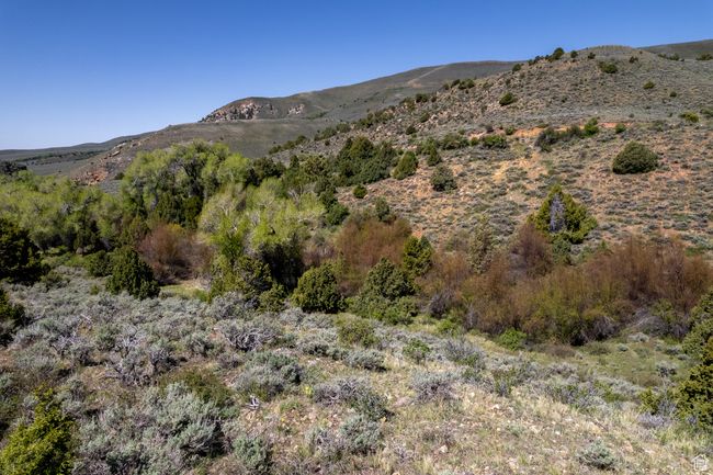 View of mountain background | Image 10