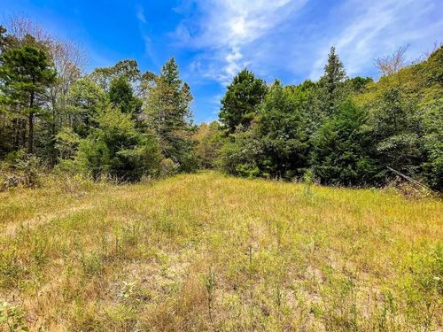 TBD County Road 4606, Troup, TX, 75789 | Card Image