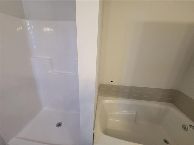 Primary Bath and Shower | Image 5