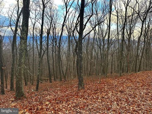 LOT 14 SEC 8 Lawyer Lane, SLANESVILLE, WV, 25444 | Card Image