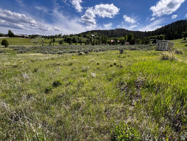 View of mountain backdrop featuring rural landscape and a heavily wooded area | Image 43