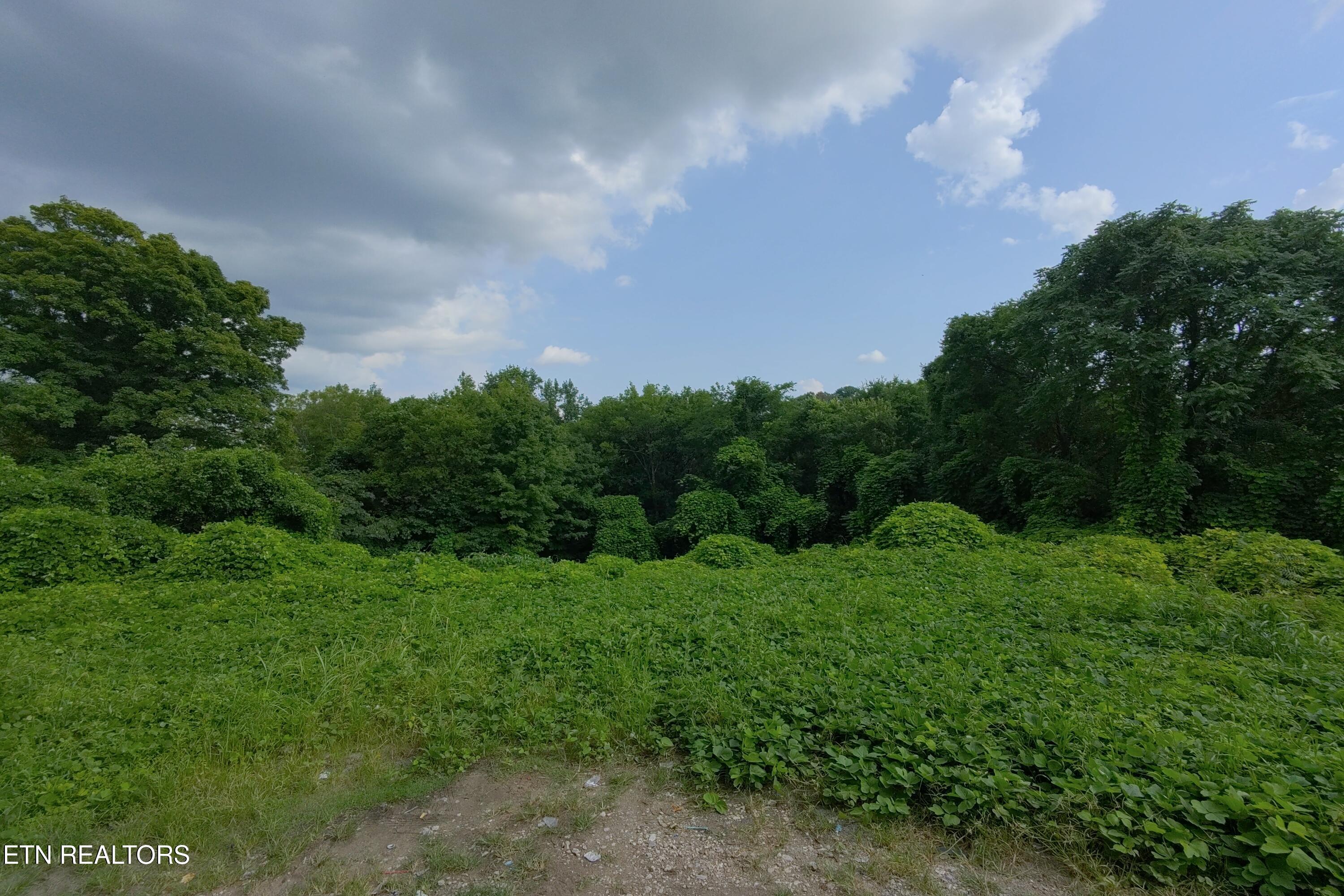 Land in Knoxville 2