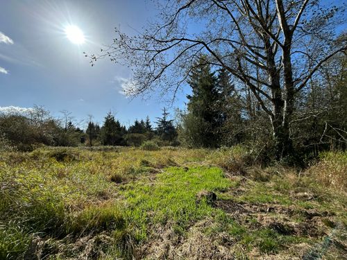 2400 Alderbrook Rd, Tillamook, OR, 97141 | Card Image