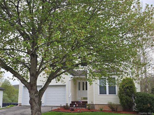 62 Meadowbrook Ct, Patterson, NY, 12563-8801 | Card Image