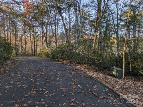 Lot 59 & 60 Willow Lane, Columbus, NC, 28722 | Card Image