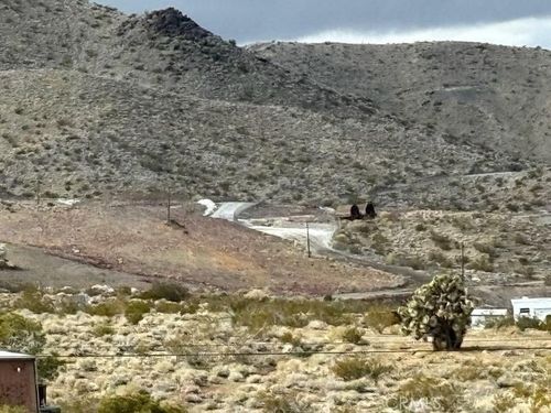 0 Randsburg Cutoff Rd, Johannesburg, CA, 93528 | Card Image