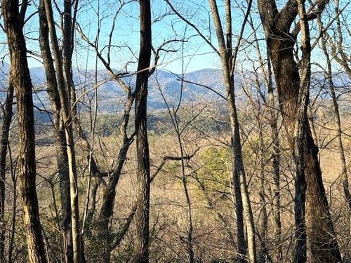 7.0 ac Laurel Dr, Marble, NC, 28905 | Card Image