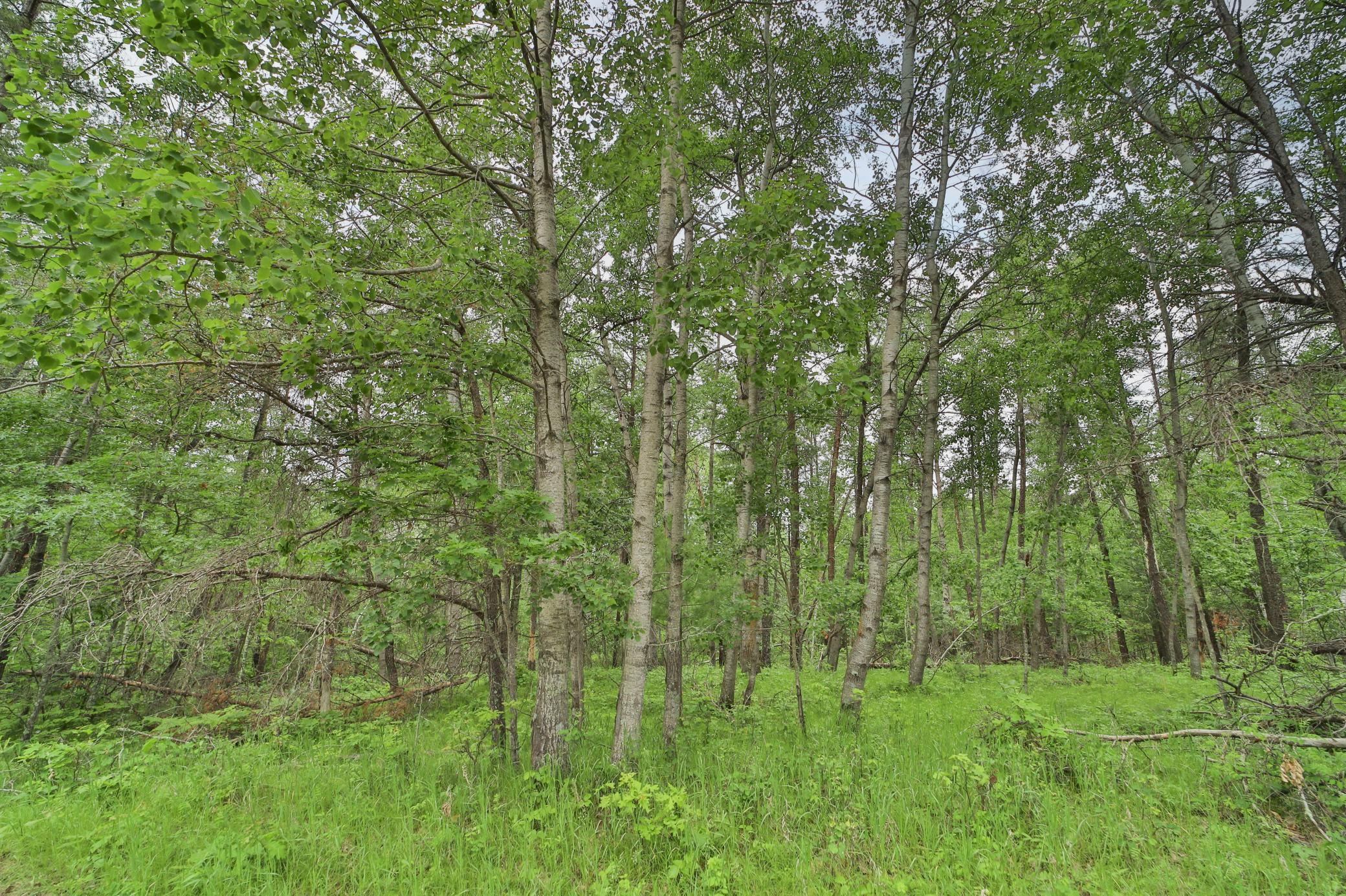 Land in Breezy Point 4