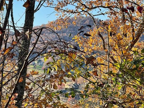 Lot 37M Ridges Overlook, Hayesville, NC, 28904-0280 | Card Image
