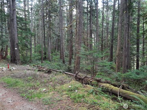 0 Cascade River Rd, Marblemount, WA, 98267 | Card Image