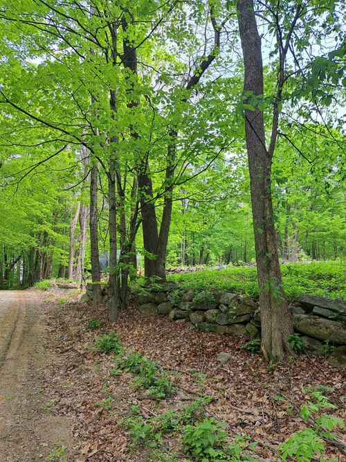 81 Hart Farm Rd, Deering, NH, 03244-6407 | Card Image