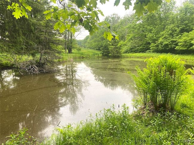 3656 Putt Brook Rd, House other with 1 bedrooms, 1 bathrooms and null parking in Scio NY | Image 5