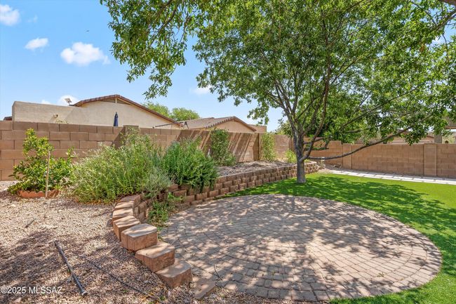 Backyard | Image 7